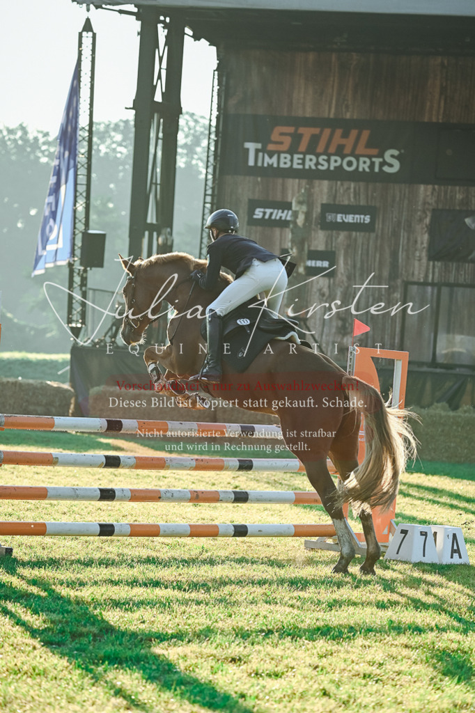 DSC_3760 | Pferde- und Turnierfotografie in Westsachsen. Pferdeportraits, Auftragszeichnungen und intuitive Kunst.