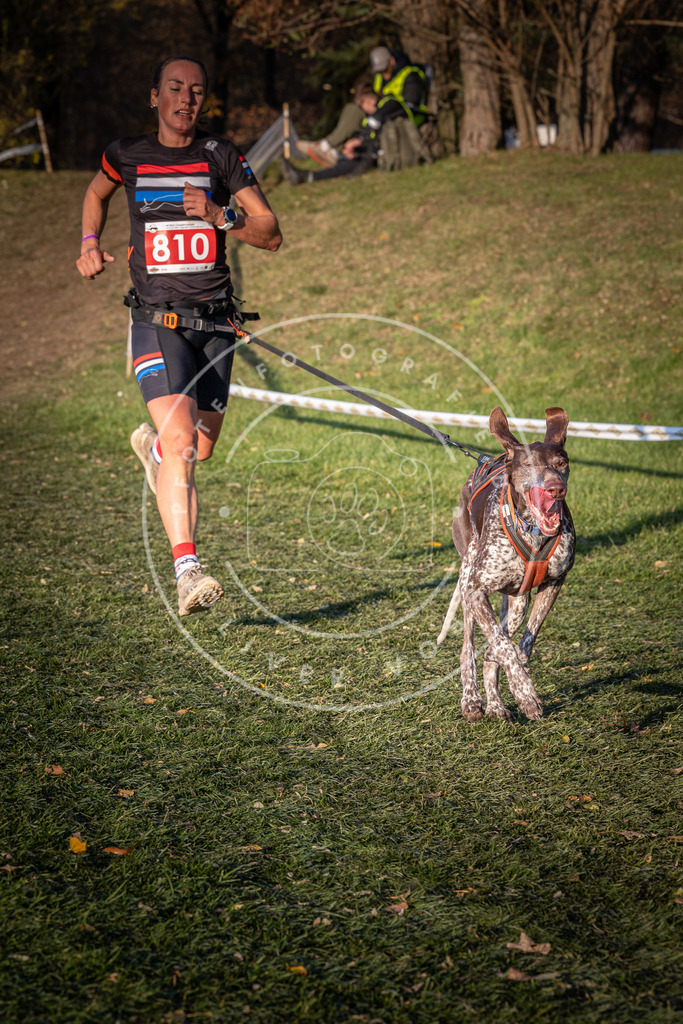 CaniXpix_0L8A0463 | Hundefotografie, Tierfotograf, Pfotenfotografie, Fotoshooting Hund, Hunde Portrait, Hundesport, Hundeportraits, Heideshooting, Hunde, Sportfotograf, Hundefotograf, Turnierhundsport, THS,  - Realisiert mit Pictrs.com
