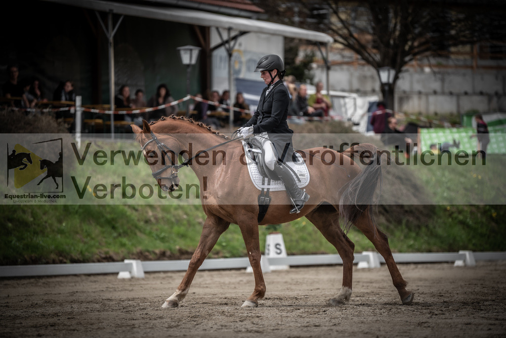 DSC_2538 | equestrian-live-com