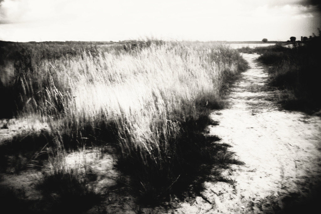 island_19_dorit_fuhg | Stimmungsvolle Fotografien von Dorit Fuhg. Kaufen Sie bequem hochwertige Fine-Art Drucke, Wandbilder und Kalender hier im Online-Shop. - Realisiert mit Pictrs.com