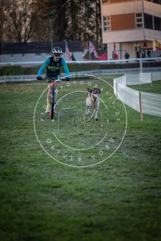 CaniXpix_0L8A0908 | Hundefotografie, Tierfotograf, Pfotenfotografie, Fotoshooting Hund, Hunde Portrait, Hundesport, Hundeportraits, Heideshooting, Hunde, Sportfotograf, Hundefotograf, Turnierhundsport, THS,  - Realisiert mit Pictrs.com