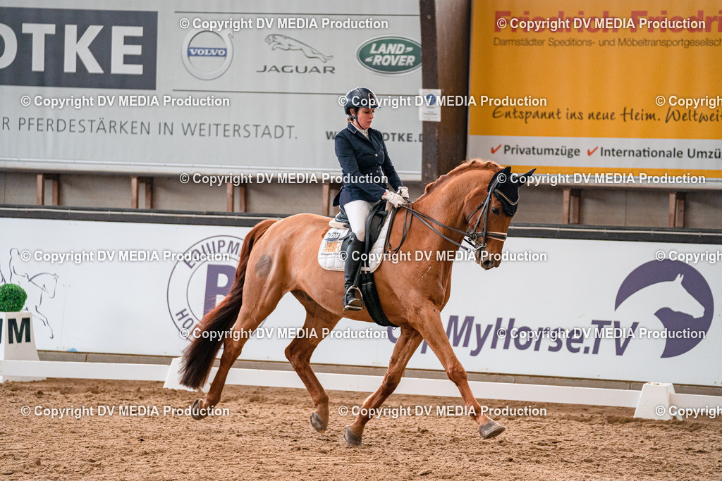 Kranichstein Tag 1-553 | dv-media-shop - Realisiert mit Pictrs.com