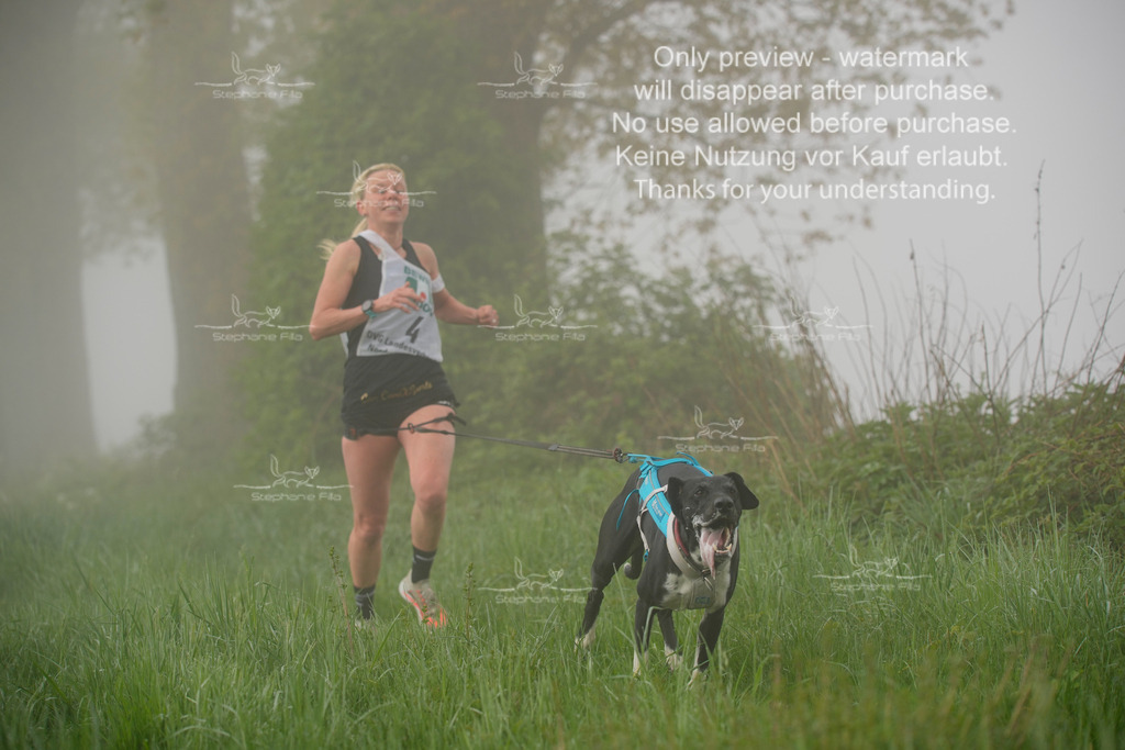 SA_GL2-12 | stephaniefillaphotographie - Realisiert mit Pictrs.com