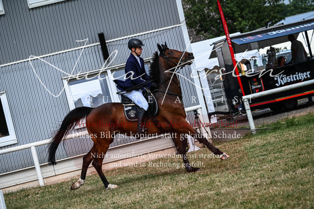 DSC_8388 | Pferde- und Turnierfotografie in Westsachsen. Pferdeportraits, Auftragszeichnungen und intuitive Kunst.