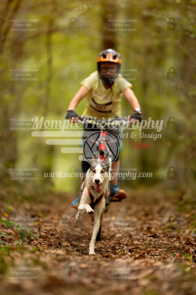 TSB_2023_E1_Bike-10 | PayLife