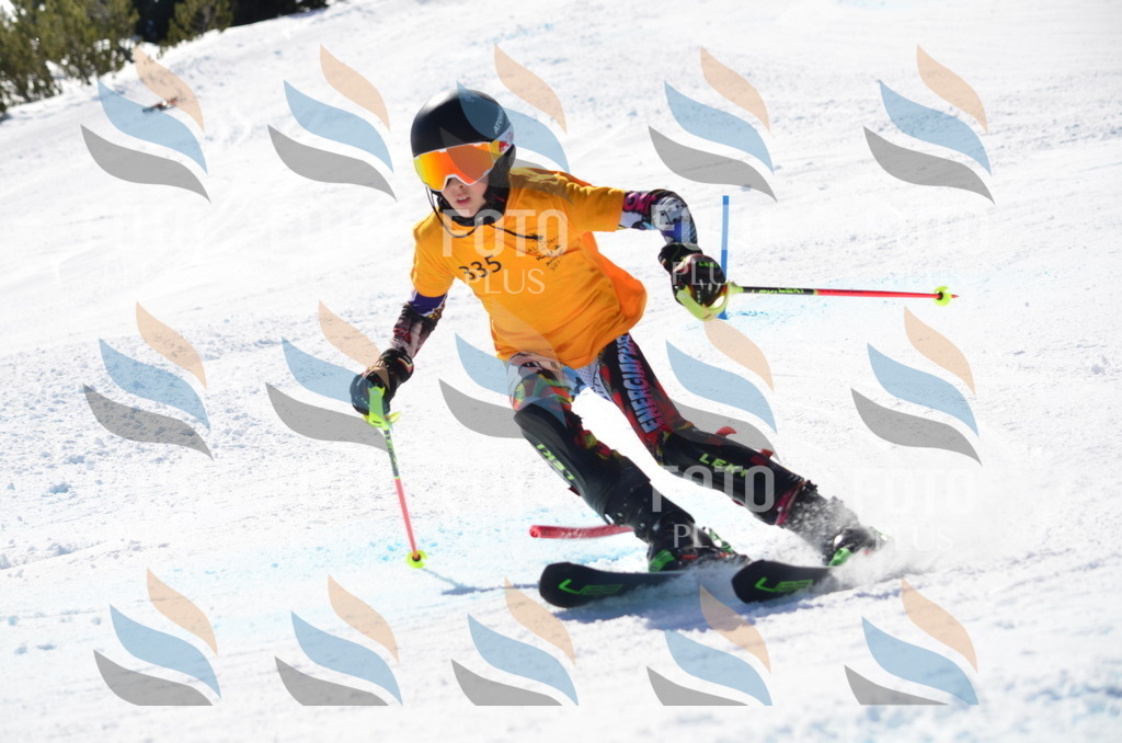 C9693 | holidayphoto