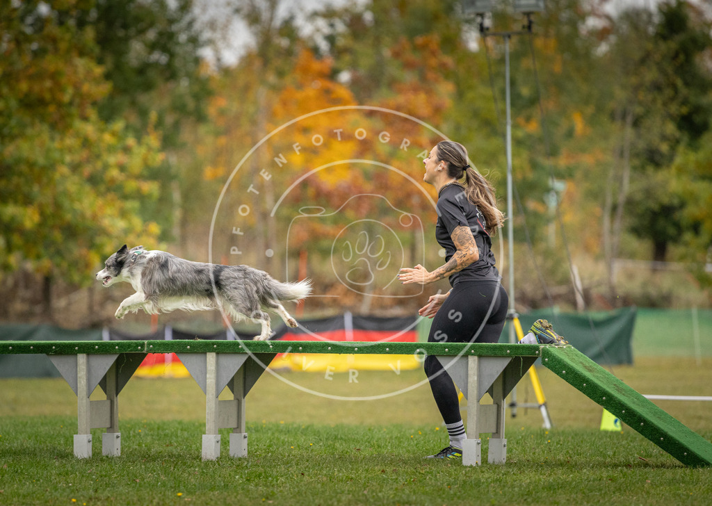 Pfotenfotografie_DV3A9673 | Hundefotografie, Tierfotograf, Pfotenfotografie, Fotoshooting Hund, Hunde Portrait, Hundesport, Hundeportraits, Heideshooting, Hunde, Sportfotograf, Hundefotograf, Turnierhundsport, THS,  - Realisiert mit Pictrs.com
