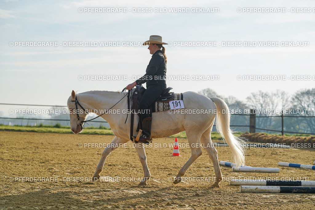 DSC00031 | Pferdegrafie