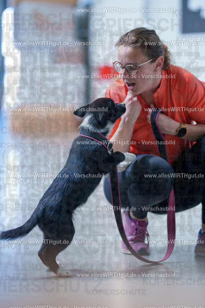 @allesWIRTHgut_Tierfotografie - www.allesWIRTHgut.de - 2604251308-7R503596 | Professionelle Tierfotografie in Mönchengladbach von Daniel Wirth (allesWIRTHgut). Liebevolle & natürliche Bilder von Hunden & Katzen für unvergessliche Erinnerungen.