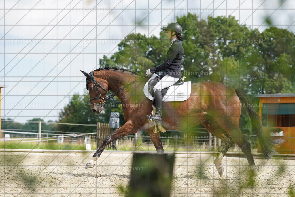 20230826-FAH05107 | Forstinning, 2023, Dressurturnier, Turniersportbilder, Turnierfotografen Bayern, Fotoagentur Herrmann, Reitsportfotografie, Turnierbilder