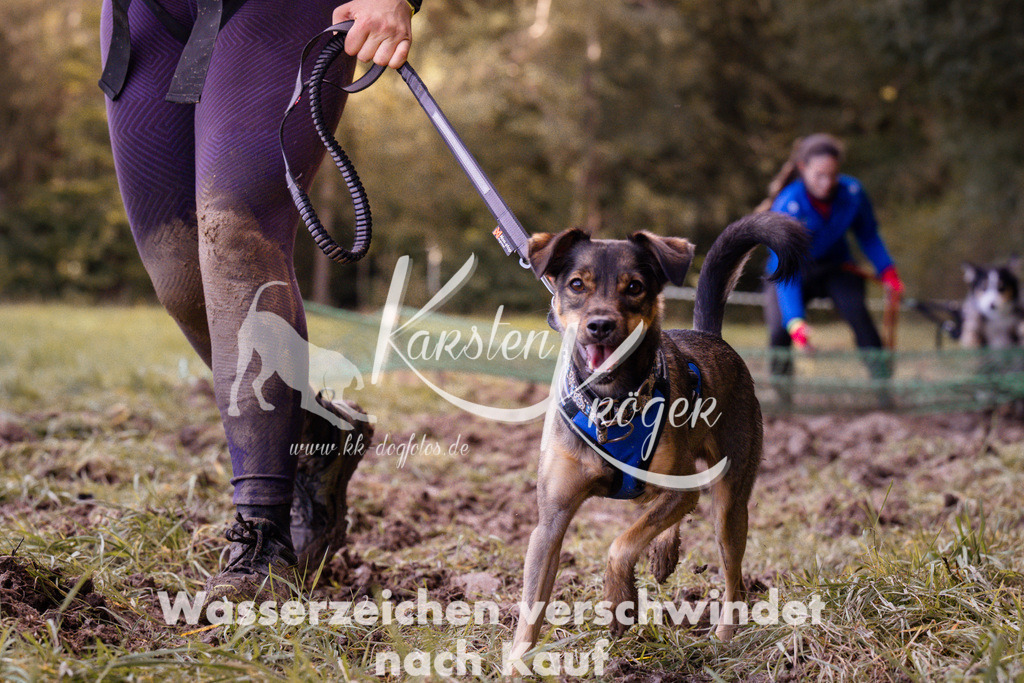 1244_ZZ90940 | kk-dogfotos