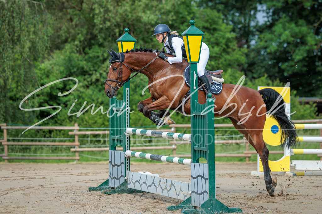 20260530-_3LI2283 | Tierfotografie Pferde, Hunde, Katzen, Haustiere.
Turnierfotografie Reitturniere, Reiten, Springreiten, Dressur in Hanau, dem Main-Kinzig-Kreis und dem Rhein-Main- Gebiet um Frankfurt