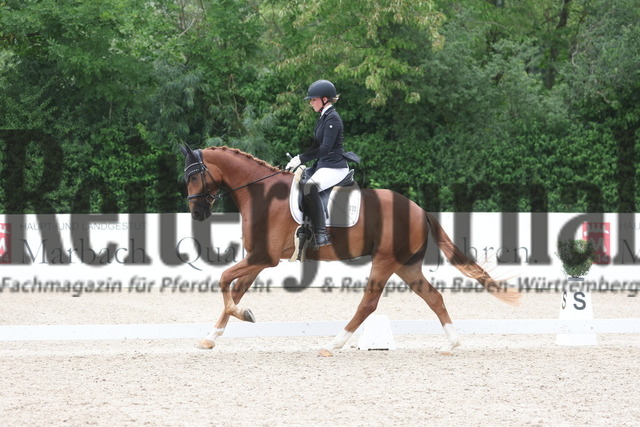Weilheim_2023_Prfg.Nr.22_4jähr.Stuten u.Wallache_Ina Casper_Fino Martini 2 (10) | Alle Fotos der Reiterjournal Fotografin Doris Matthaes im Reiterjournal Online-Fotoshop. - Realisiert mit Pictrs.com