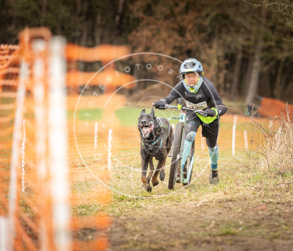DV3A1472 | Hundefotografie, Tierfotograf, Pfotenfotografie, Fotoshooting Hund, Hunde Portrait, Hundesport, Hundeportraits, Heideshooting, Hunde, Sportfotograf, Hundefotograf, Turnierhundsport, THS,  - Realisiert mit Pictrs.com