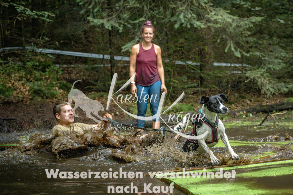 1533_ZZ91252-Bearbeitet | kk-dogfotos