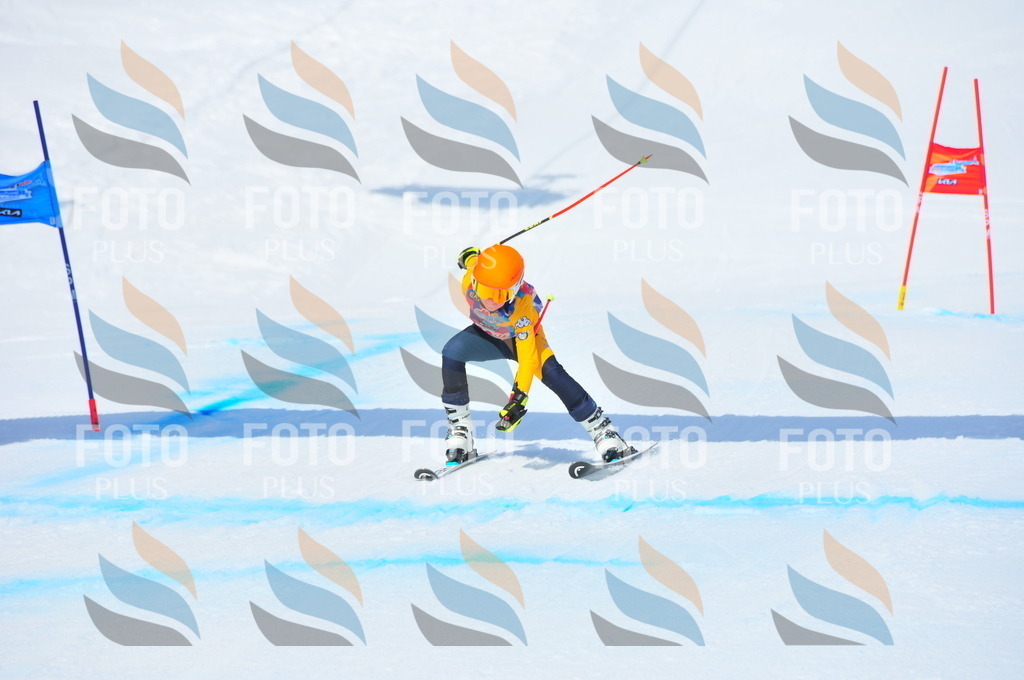 DSC_6828 | holidayphoto