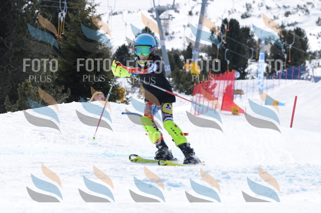 C9933 | holidayphoto