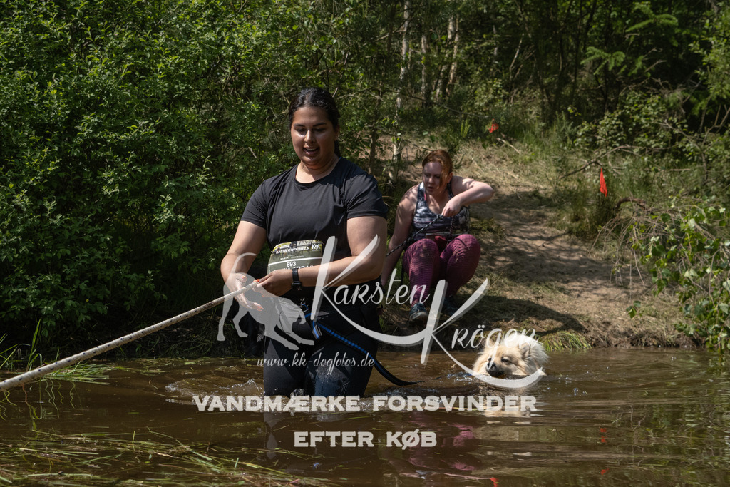 1414DKK990146 | kk-dogfotos