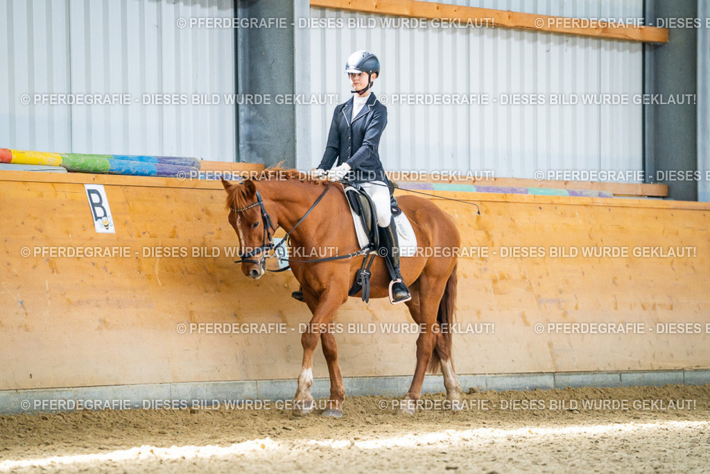 DSC03405 | Pferdegrafie