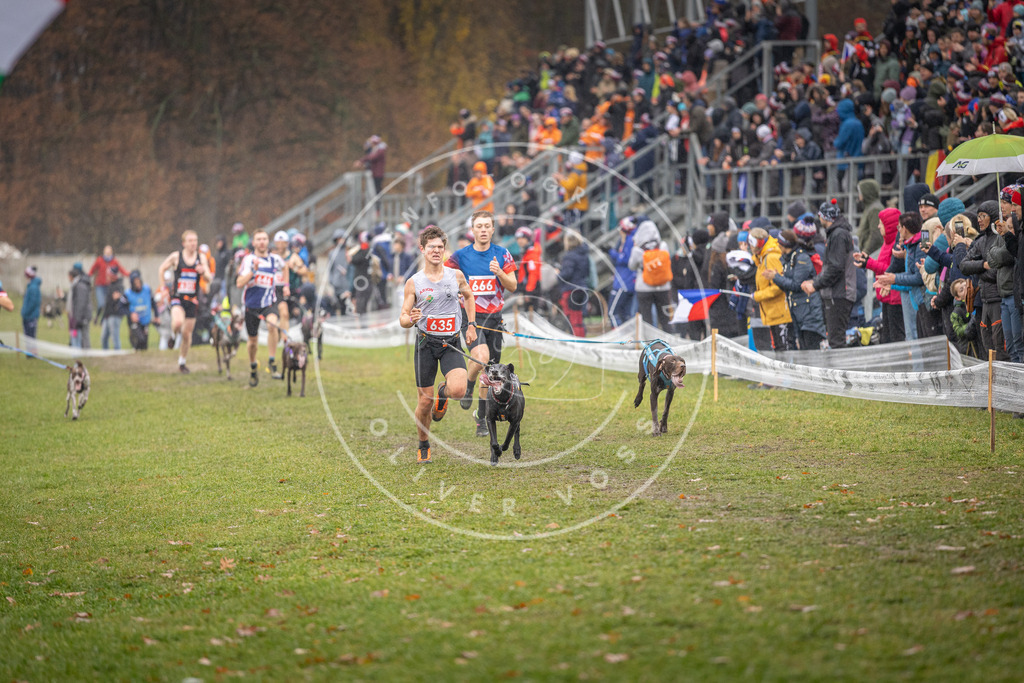 CaniXpix_DV3A9727 | Hundefotografie, Tierfotograf, Pfotenfotografie, Fotoshooting Hund, Hunde Portrait, Hundesport, Hundeportraits, Heideshooting, Hunde, Sportfotograf, Hundefotograf, Turnierhundsport, THS,  - Realisiert mit Pictrs.com
