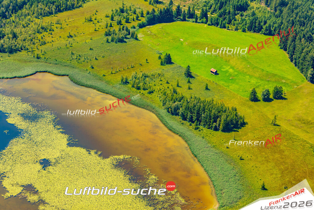Luftbild Vs Google Maps  Bannwaldsee  Schwangau -Das Luftbild wurde 2025 vom UL-Flugzeug heraus erstellt ( keine Drohne ) - Hochauflösende Luftaufnahme -Nicht vergleichbar mit Google Maps oder Satelittenbilder- Die Geschenkidee !Mit Lizenz und Bildrechte bestellbar