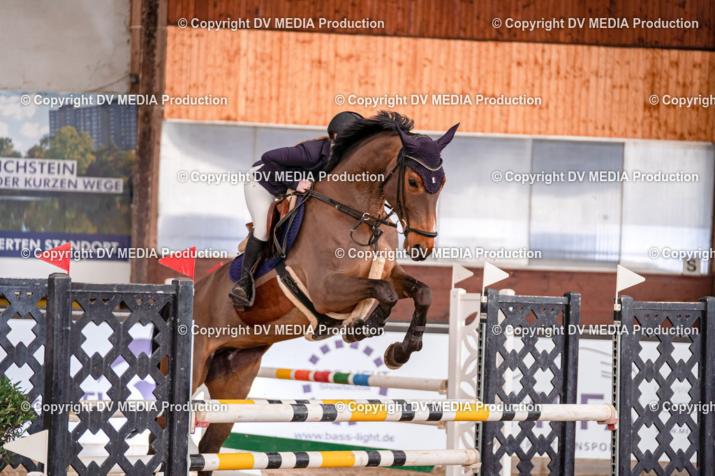 Kranichstein II Tag 3-438 | dv-media-shop - Realisiert mit Pictrs.com