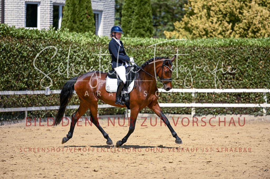 Schugtsche-Aluta25-49.Dressurpferdeprf.A-322 | Schugtsche Fotografie - Realisiert mit Pictrs.com