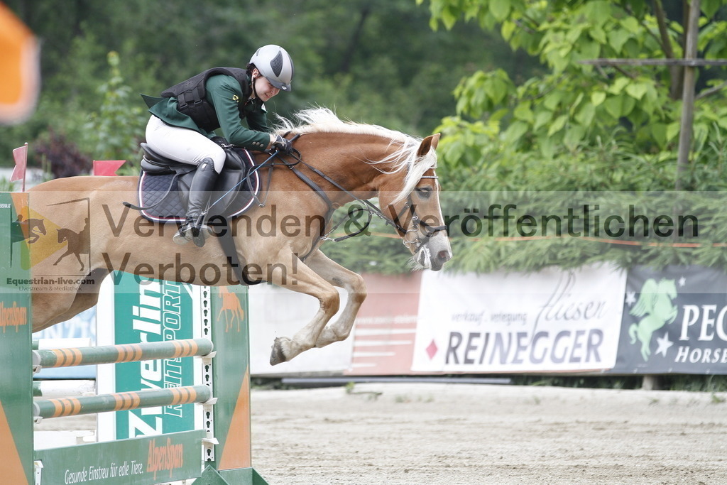 _MG_6398 | equestrian-live-com