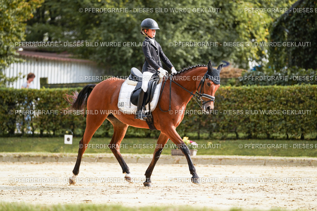 DSC03981 | Pferdegrafie