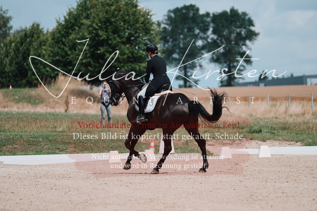 DSC_4264 | Pferde- und Turnierfotografie in Westsachsen. Pferdeportraits, Auftragszeichnungen und intuitive Kunst.