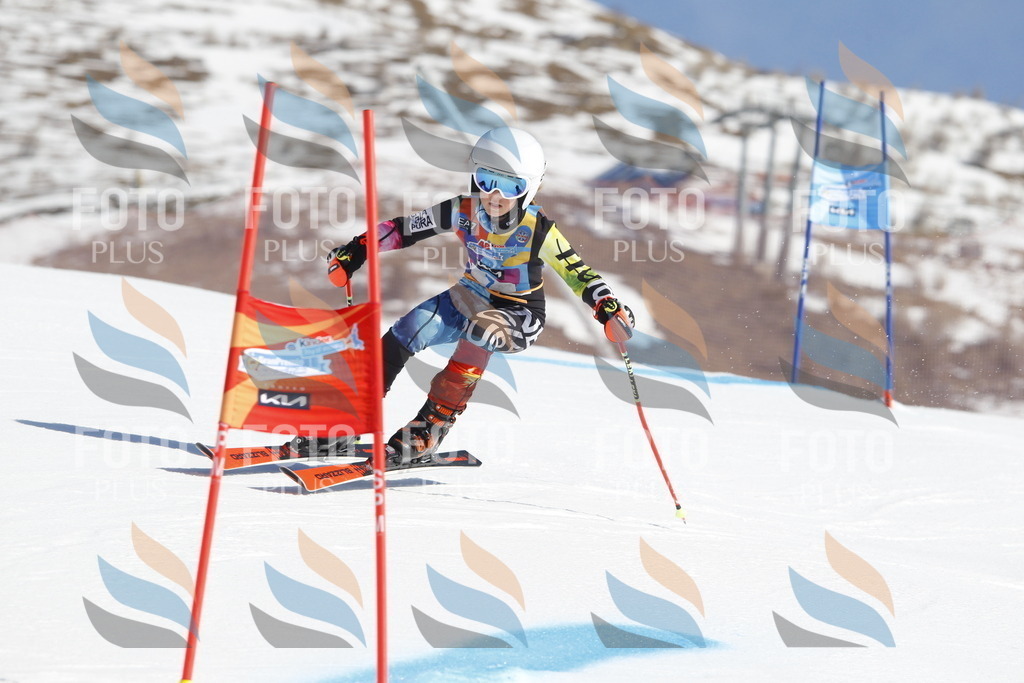 _U3G8607 | holidayphoto