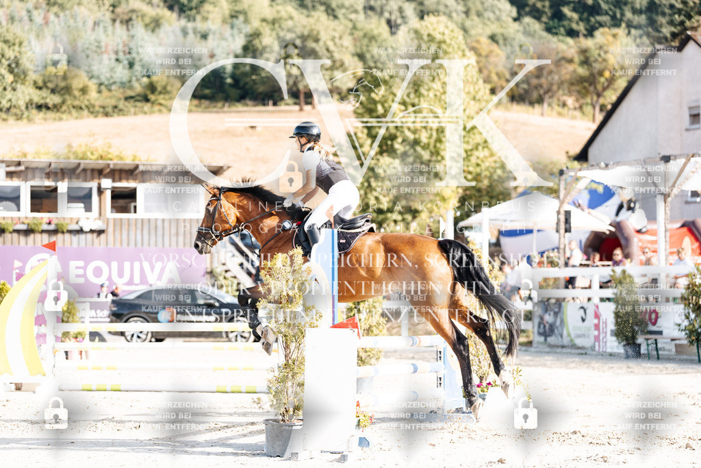 CK909487 | Turnierfotografie Pferdefotografie Trier Rheinland-Pfalz Pferdesport Reitsport Tierfotografie Sportfotografie Pferdevideo Pferdevideografie Equestrianvideography equestrianphotography  - Realisiert mit Pictrs.com