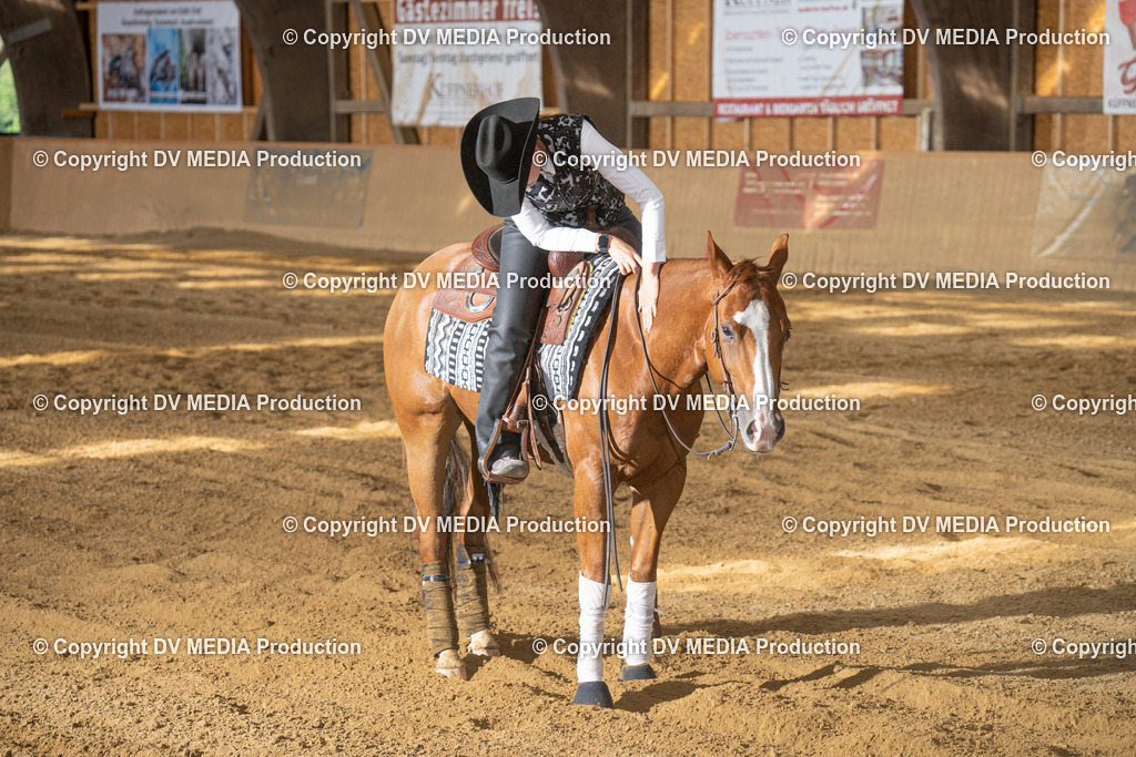 DSC00555 | dv-media-shop - Realisiert mit Pictrs.com