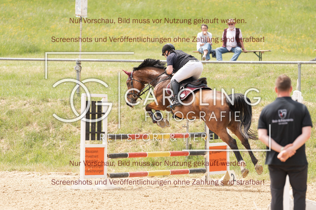 DSC06672 | Springturnier_Ehingen_Mai_2026, Martin_Thaler, Lalou_VK