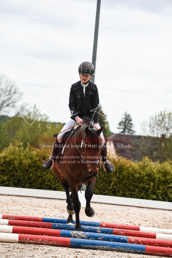 20230518_JK-Röhrsdorf-10-694 | Pferde- und Turnierfotografie in Westsachsen. Pferdeportraits, Auftragszeichnungen und intuitive Kunst.