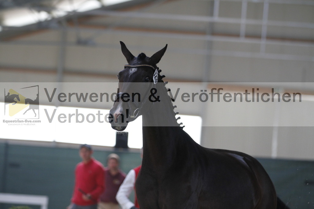 _MG_9827 | equestrian-live-com