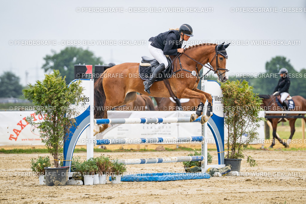 DSC02616 | Pferdegrafie