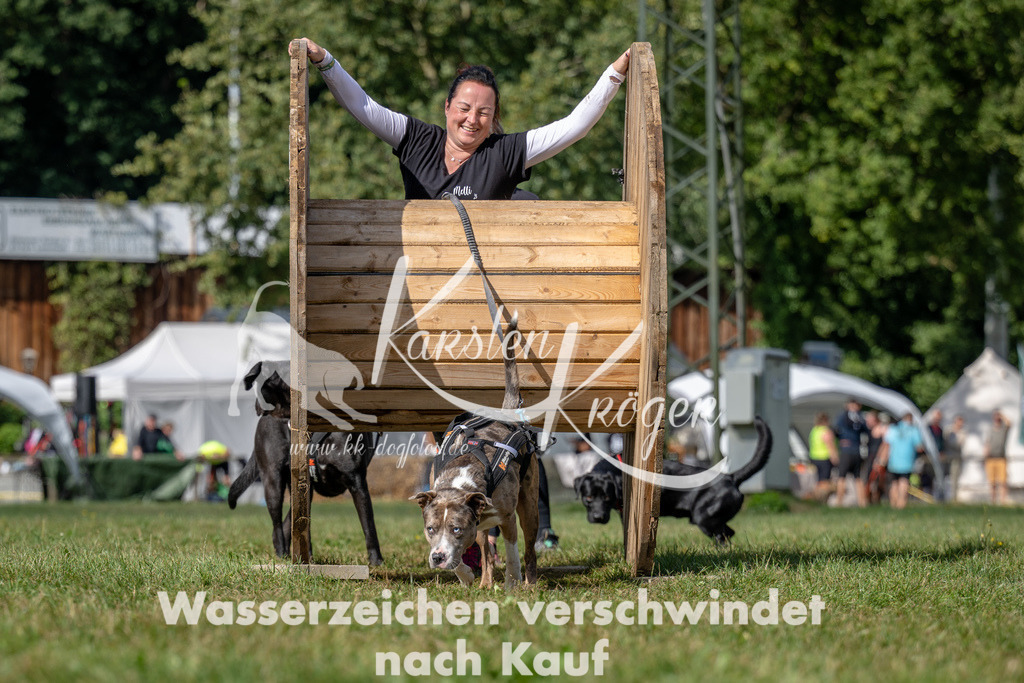 1131_ZZ90481 | kk-dogfotos