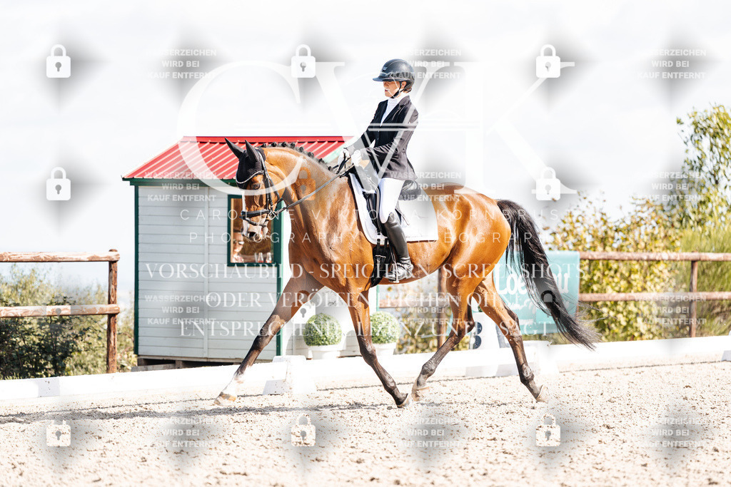 CK902292 | Turnierfotografie Pferdefotografie Trier Rheinland-Pfalz Pferdesport Reitsport Tierfotografie Sportfotografie Pferdevideo Pferdevideografie Equestrianvideography equestrianphotography  - Realisiert mit Pictrs.com