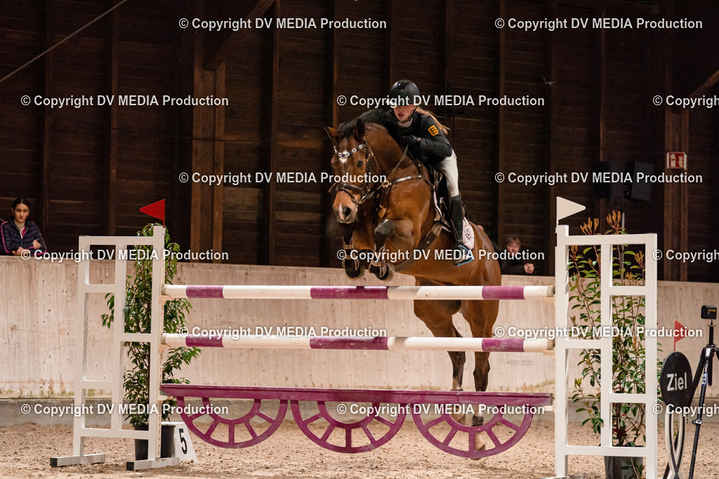 Springen Tag 2-953 | dv-media-shop - Realisiert mit Pictrs.com