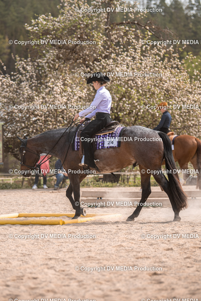 Balingen Tag 5-368 | dv-media-shop - Realisiert mit Pictrs.com