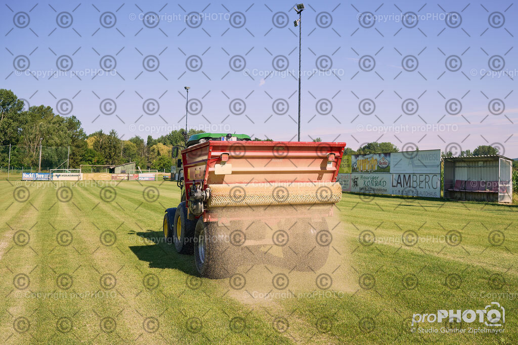 202507_Rernböck-Rasen_NZ9_1271 | proPHOTO - Realisiert mit Pictrs.com