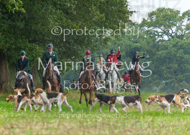 Jagd Perdoel_MarinaHewigMCH03911 | Fotografie, FotoArt, PferdesportArt, Pferdesportfotografie, Landschaftsfotografie, Reisefotografie, Reise, Pferde - Realisiert mit Pictrs.com