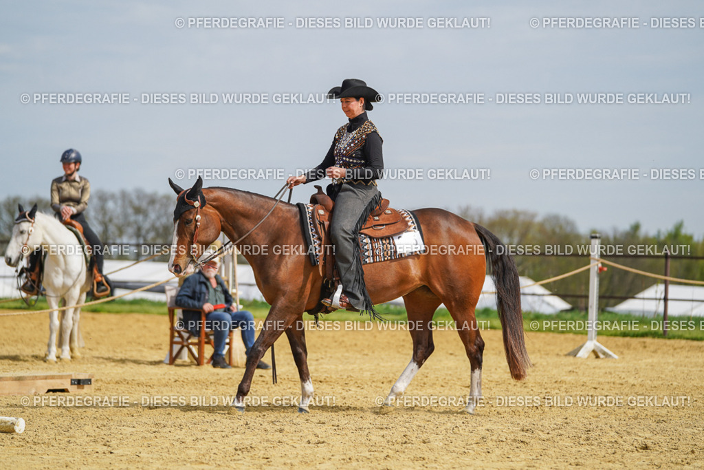 DSC03976 | Pferdegrafie