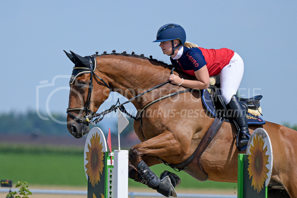 Pferdesporttage Winterthur - 19. July 2025 | Pferdesporttage WinterthurSandplatz Pferdesport-Arena, WinterthurBild: Sportfotografie Markus Aeschimann | www.markus-aeschimann.ch - Realisiert mit Pictrs.com