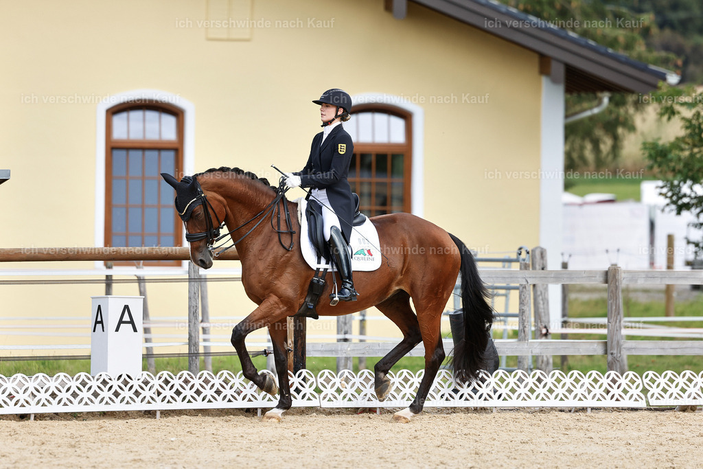 11-003-Dressur S___-StoibPH-1066 | working equitationturnier fotograf videograf stoibphotography marixx film working equitation deutschland reitsport turnierfotografie eventfotografie equestrian events