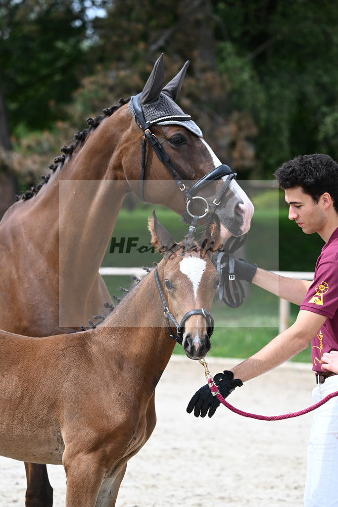 Kat-Nr. 30 SF Fidertanz_Joner_25230655 | hf-fotografie - Realisiert mit Pictrs.com