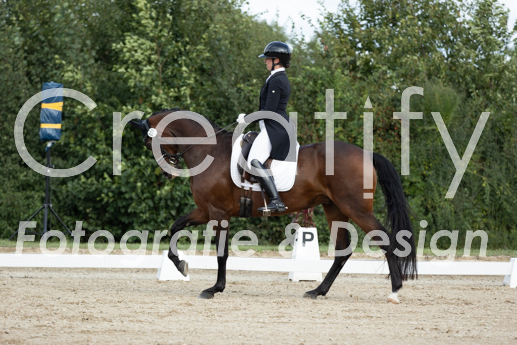 IMG_7140 | Creatify Fotografie