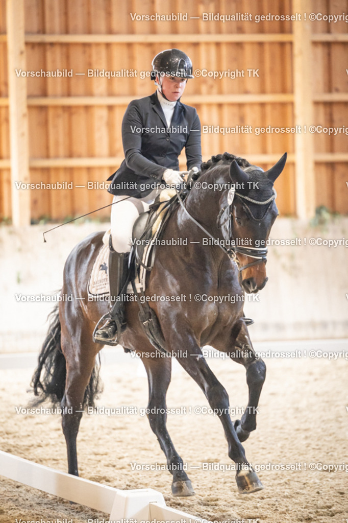 _D5A8450 | Emotionale Pferde- & People-Fotografie rund um Heidelberg, Leimen & Umgebung. Natürliche Fotos von Pferd, Mensch & Familie. Jetzt Termin sichern!