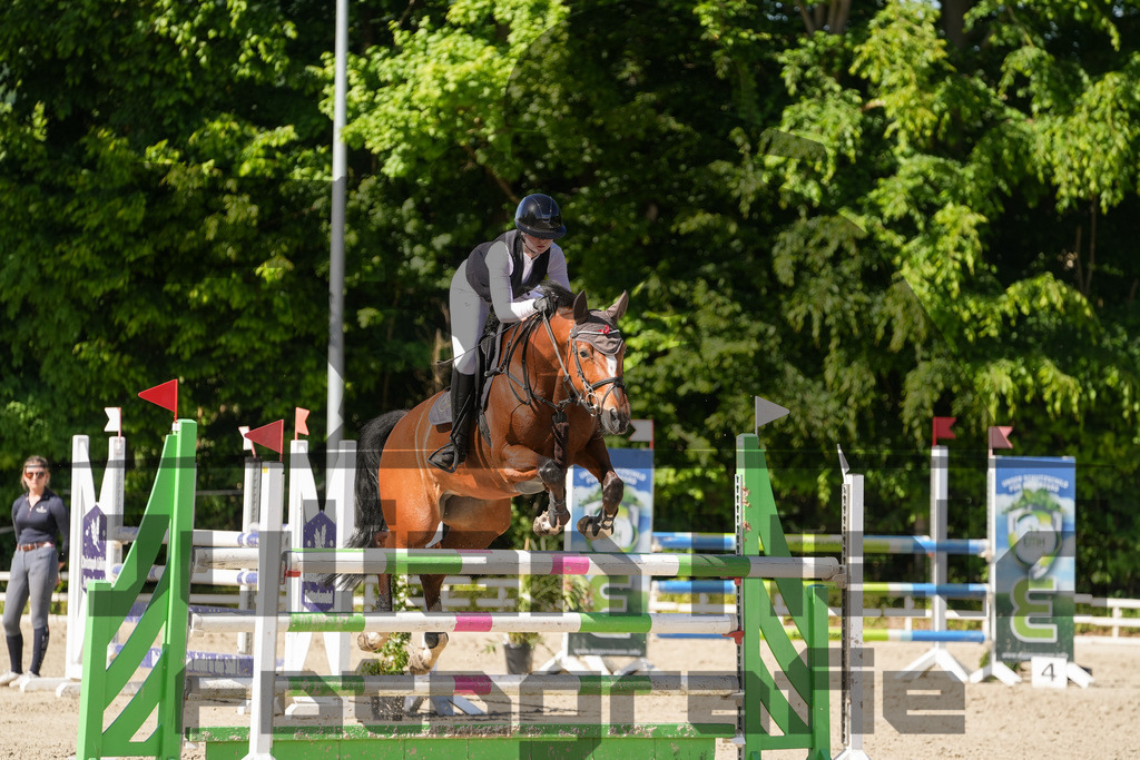 DSC02429 | Julian Held Fotografie - Realisiert mit Pictrs.com